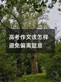 高考作文该怎样避免偏离题意