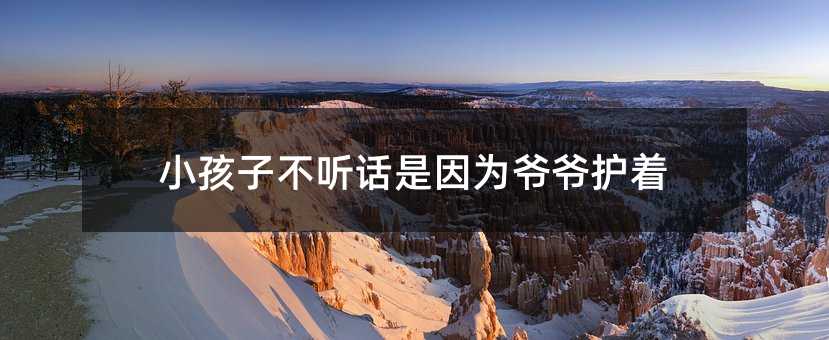 孩子子叛逆是由于爷爷护着