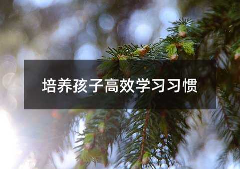 ӸЧѧϰϰ