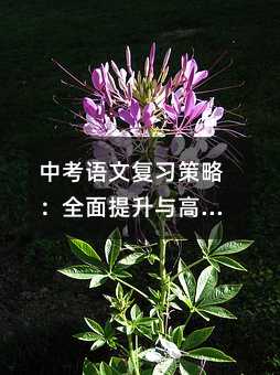 中考语文复习策略:全面提升与高效备考