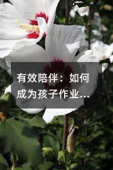 Ч飺γΪҵĵ