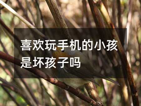 ϲֻСǻ