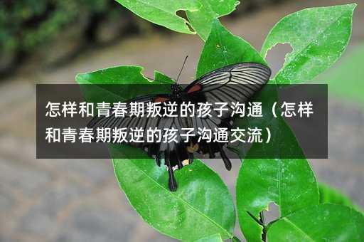 怎样和青春期叛逆的孩子沟通(怎样和青春期叛逆的孩子沟通交流)