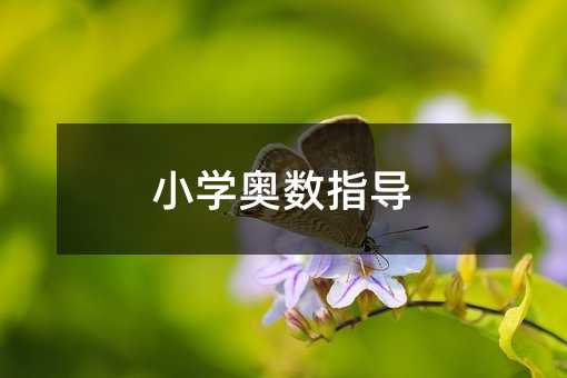 小学奥数指导