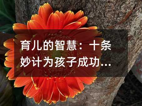 育儿的智慧:十条妙计为孩子成功铺路