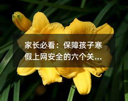 家长必看:保障孩子寒假上网安全的六个关键点