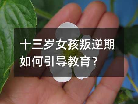 十三岁女孩叛逆期如何引导教育?