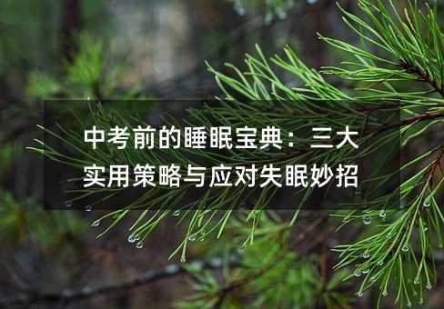 中考前的睡眠宝典:三大实用策略与应对失眠妙招