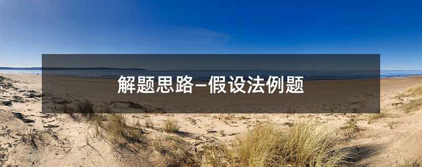 解题思路—假设法例题