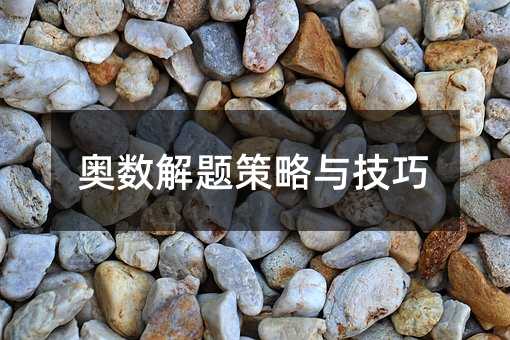 奥数解题策略与技巧