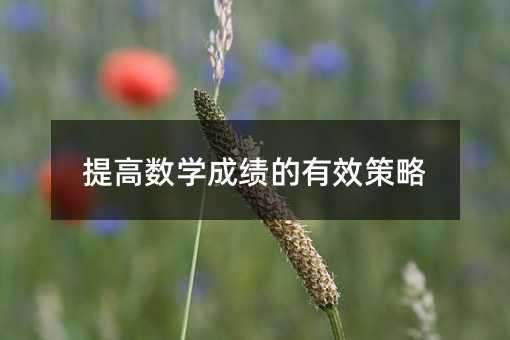 提高数学成绩的有效策略