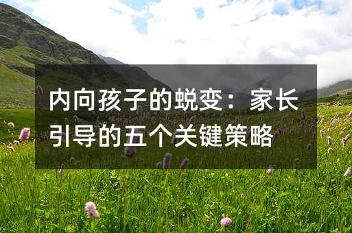 内向孩子的蜕变:家长引导的五个关键策略