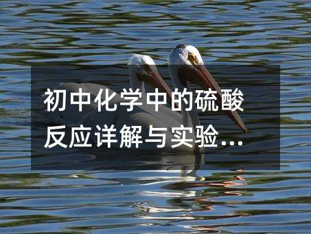 лѧеᷴӦʵ۲