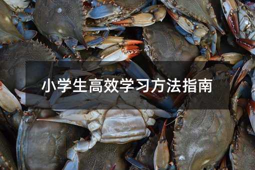 小学生高效学习方法指南