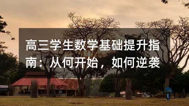 高三学生数学基础提升指南:从何开始,如何逆袭