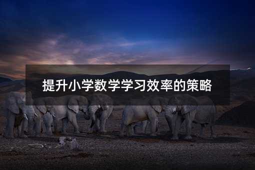 提升小学数学学习效率的策略