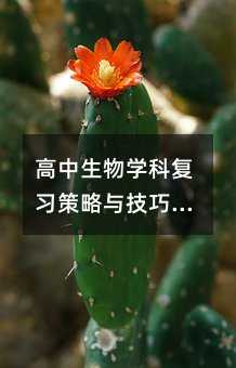 高中生物学科复习策略与技巧详解