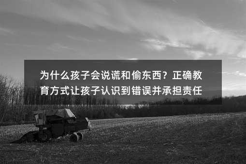 为什么孩子会说谎和偷东西?正确教育方式让孩子认识到错误并承担责任