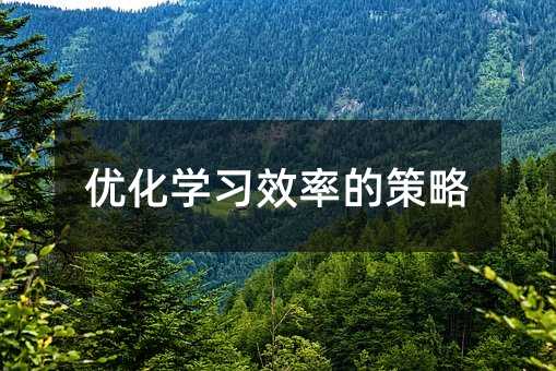 优化学习效率的策略