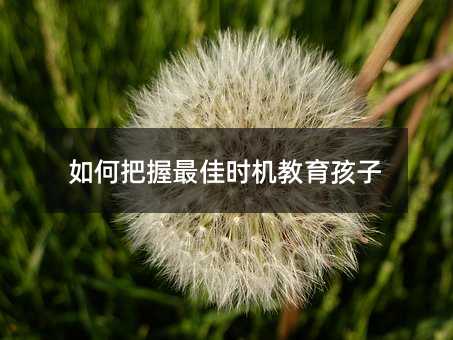 如何把握最佳时机教育孩子