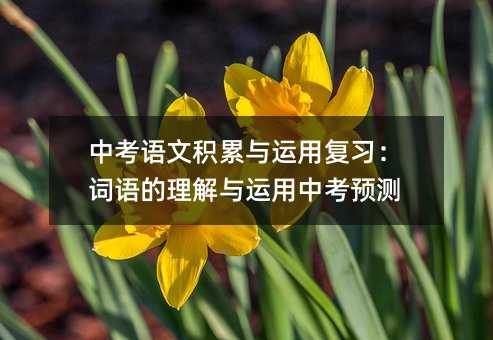 中考语文积累与运用复习:词语的理解与运用中考预测
