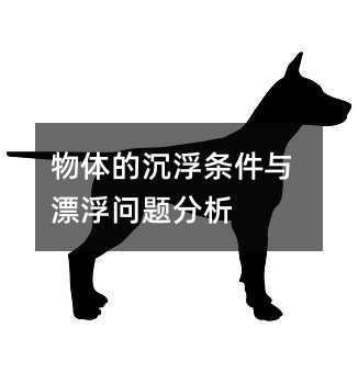 物体的沉浮条件与漂浮问题分析