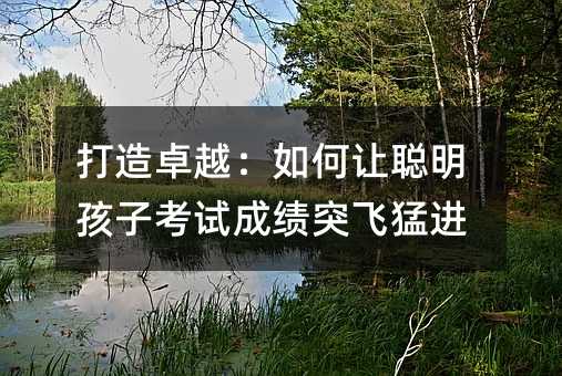 打造卓越:如何让聪明孩子考试成绩突飞猛进