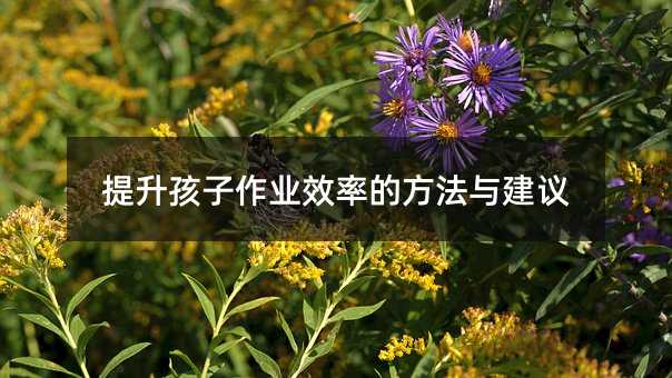 提升孩子作业效率的方法与建议