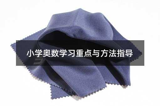 小学奥数学习重点与方法指导