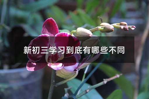 级学习有什么区别
