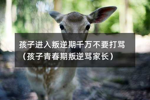 孩子进入叛逆期千万不要打骂(孩子青春期叛逆骂家长)