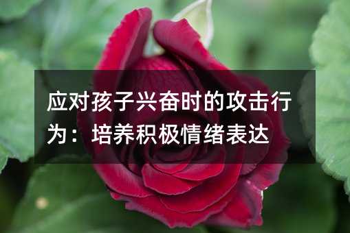 应对孩子兴奋时的攻击行为:培养积极情绪表达