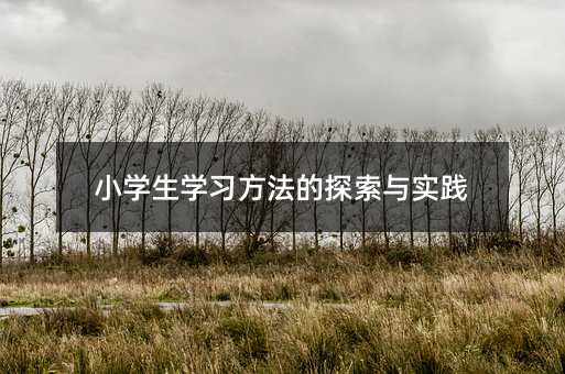 小学生学习方法的探索与实践