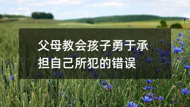 父母教会孩子勇于承担自己所犯的错误