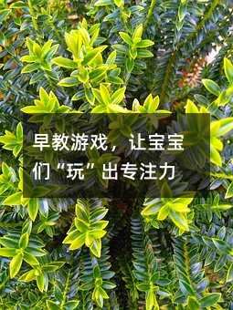 早教游戏,让宝宝们“玩”出专注力