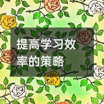 提升学习效率的方案