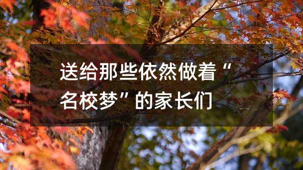 送给那些依然做着“名校梦”的家长们