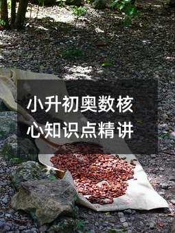 小升初奥数核心知识点精讲