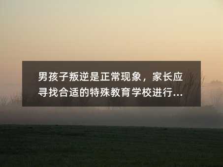 男孩子叛逆是正常现象,家长应寻找合适的特殊教育学校进行引导