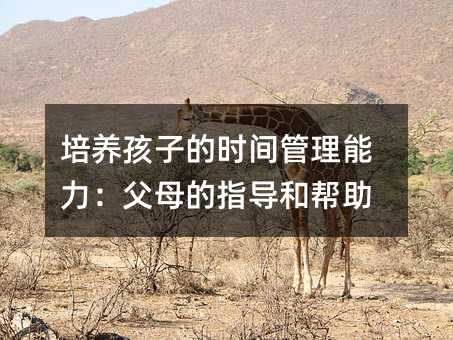 培养孩子的时间管理能力:父母的指导和帮助