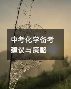 中考化学备考建议与策略