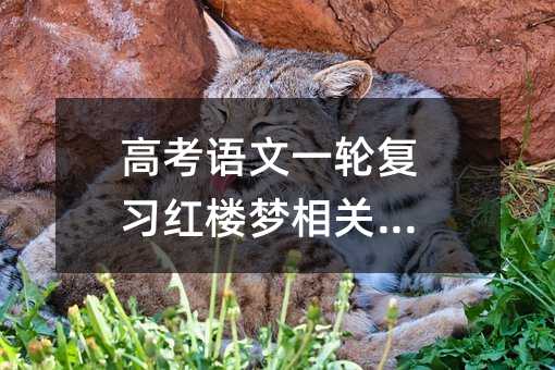 高考语文一轮复习红楼梦相关习题