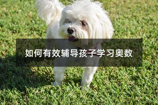 如何有效辅导孩子学习奥数
