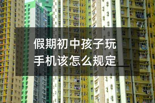 假期初中孩子玩手机该怎么规定