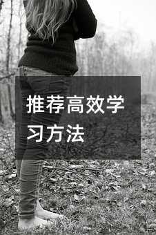 推荐高效学习方法