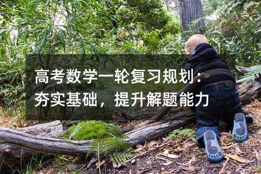 高考数学一轮复习规划:夯实基础,提升解题能力