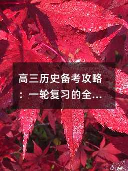 高三历史备考攻略:一轮复习的全面指南