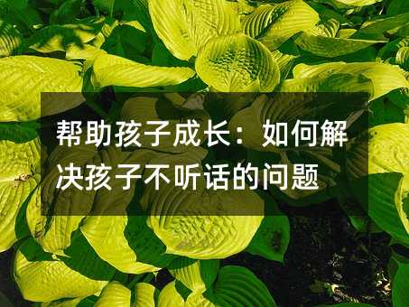 帮助孩子成长:如何解决孩子不听话的问题