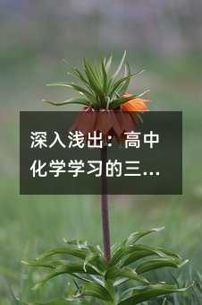深入浅出:高中化学学习的三大攻略