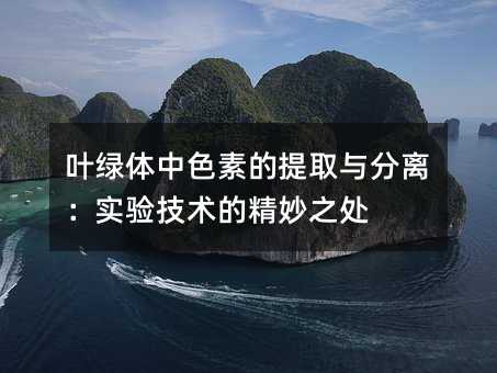 叶绿体中色素的提取与分离:实验技术的精妙之处
